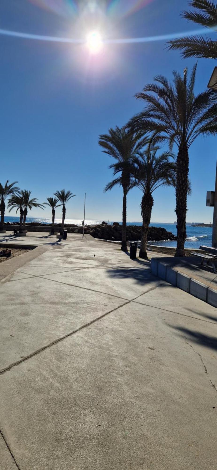 Apartments On The Beach In Torrevieja Exteriör bild